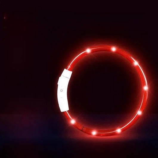 LED Glowing Dog Collar Teamdrop