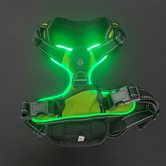 LED Light-Up Dog Harness Teamdrop