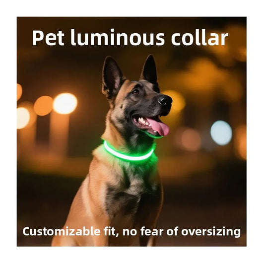 LED Glowing Dog Collar Teamdrop