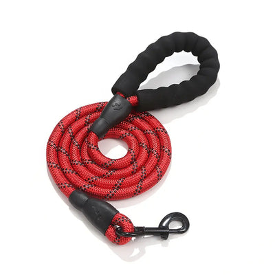 Reflective Nylon Dog Lead Teamdrop