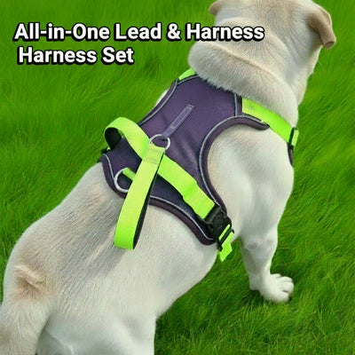Dog Harness & Retractable Lead Set Teamdrop