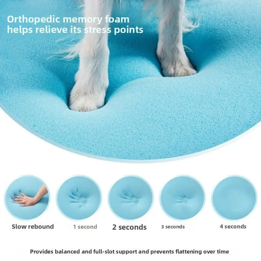 Large Dog Essentials Bundle Teamdrop