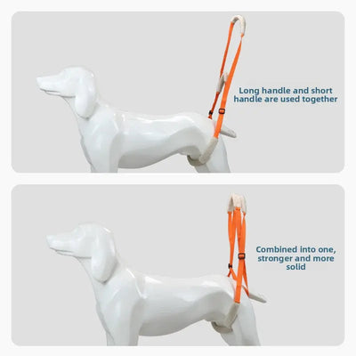Dog Rehabilitation Belt (Adjustable) Teamdrop