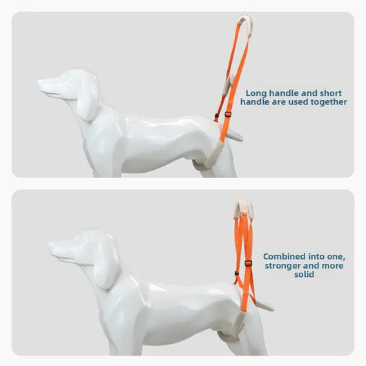 Dog Rehabilitation Belt (Adjustable) Teamdrop