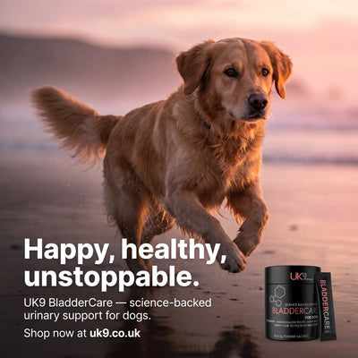 UK9 BladderCare — Daily Bladder Support Sachets (30) UK9 Petcare