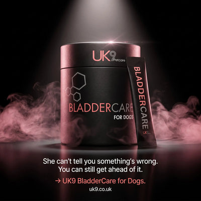 UK9 BladderCare — Daily Bladder Support Sachets (30) UK9 Petcare