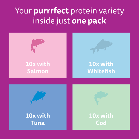 Whiskas 1+ Fish Favourites in Jelly Pouches, 40 x 85g