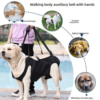 Hind Leg Support Harness (Injury Assist) Teamdrop