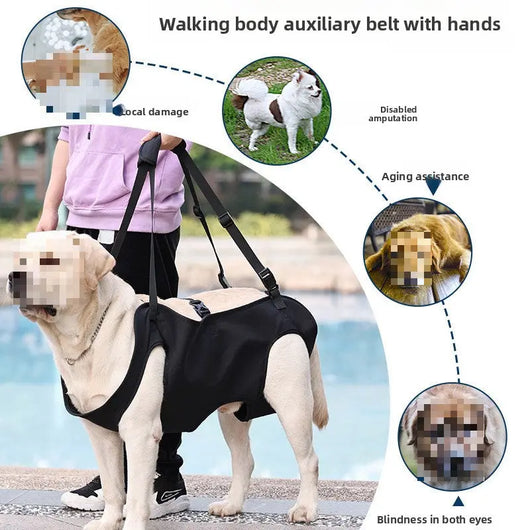 Hind Leg Support Harness (Injury Assist) Teamdrop