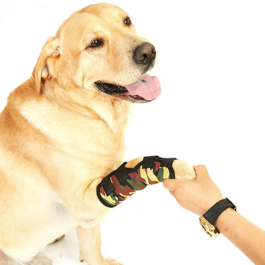 Adjustable Dog Leg Support Bandage Teamdrop