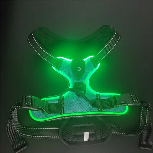 LED Light-Up Dog Harness Teamdrop
