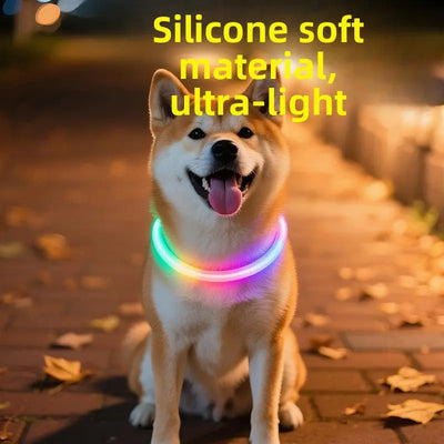 LED Glowing Dog Collar Teamdrop