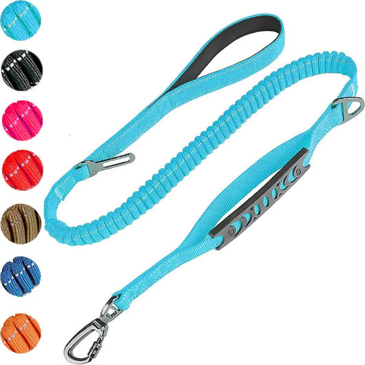 Elastic Dog Leash with Car Safety Clip Teamdrop