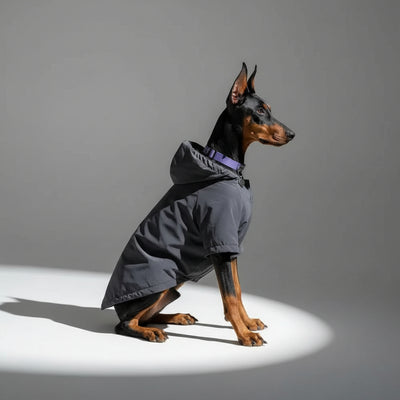 Large Dog Trendy Coat Teamdrop