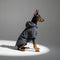 Large Dog Trendy Coat