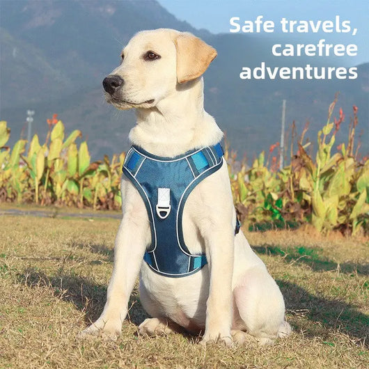 Dog Harness & Retractable Lead Set Teamdrop