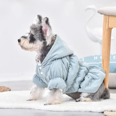 Small Dog Coat Teamdrop