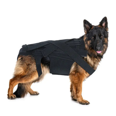 Dog Back Support Vest Teamdrop
