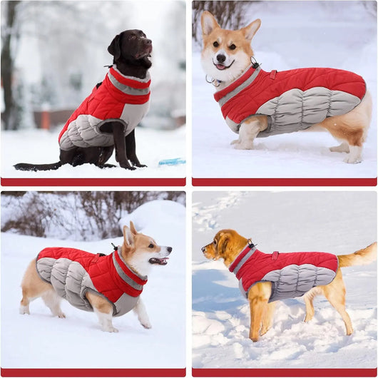 Windproof Fleece-Lined Dog Coat Teamdrop