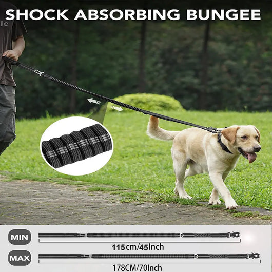 Shock-Absorbing Bungee Dog Lead Teamdrop