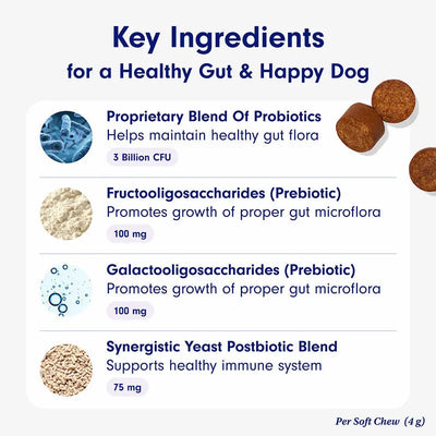 Dog Probiotic Supplement Teamdrop
