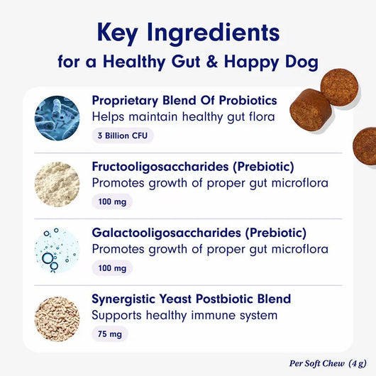 Dog Probiotic Supplement Teamdrop