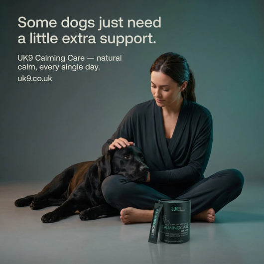 UK9 CalmingCare — Daily Calm Support Sachets (30) UK9 Petcare