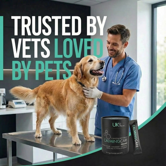 UK9 CalmingCare — Daily Calm Support Sachets (30) UK9 Petcare