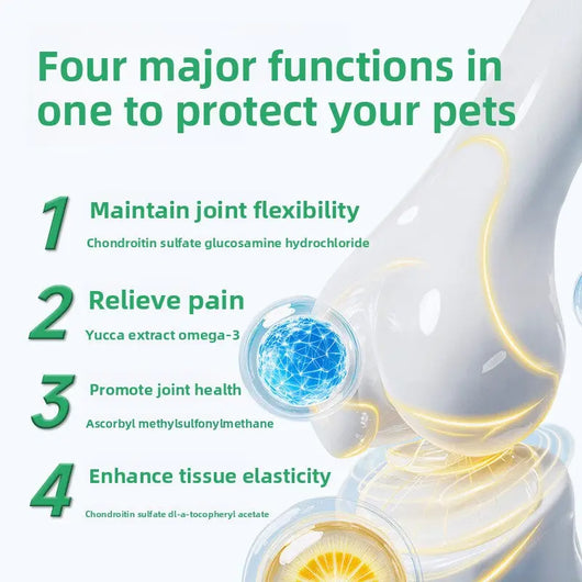 Dog Daily Health Supplement Teamdrop