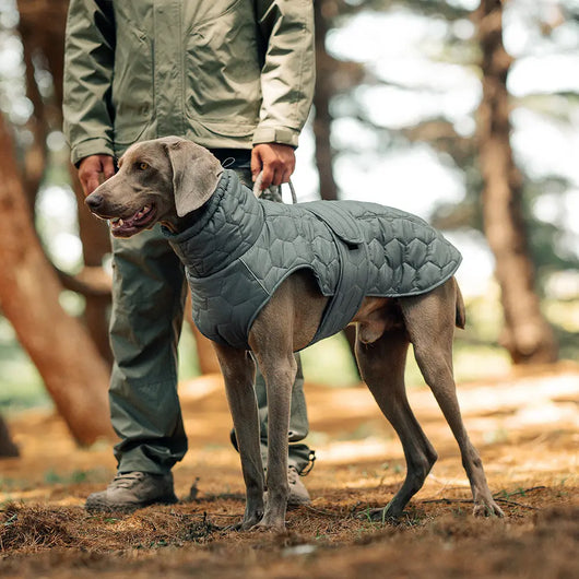 Hunter Style Dog Jacket Teamdrop