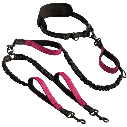 Dual Retractable Dog Lead (Two Dogs) Teamdrop