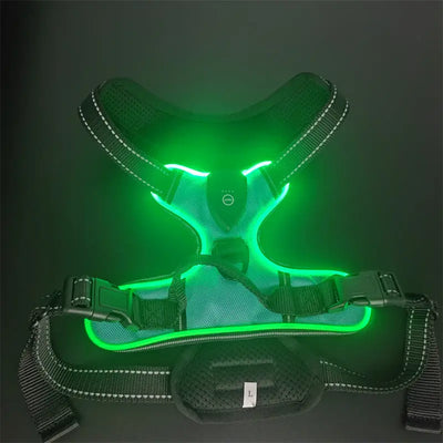 LED Light-Up Dog Harness Teamdrop