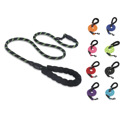 Reflective Nylon Dog Lead Teamdrop