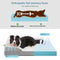 Large Dog Essentials Bundle