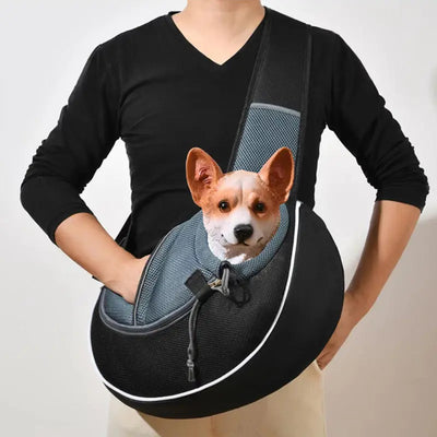 Small Pet Travel Bag Teamdrop
