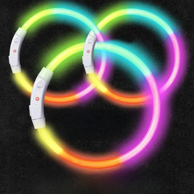 LED Glowing Dog Collar Teamdrop
