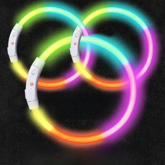 LED Glowing Dog Collar Teamdrop
