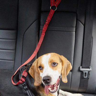 Dog Car Seat Belt Lead Teamdrop