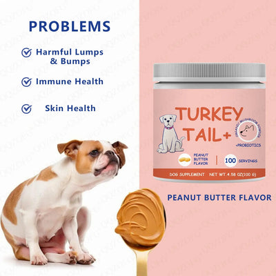 Dog Turkey Tail Mushroom Supplement Powder Teamdrop