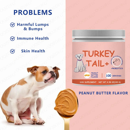 Dog Turkey Tail Mushroom Supplement Powder Teamdrop