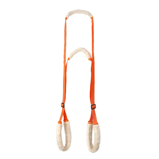 Dog Rehabilitation Belt (Adjustable) Teamdrop