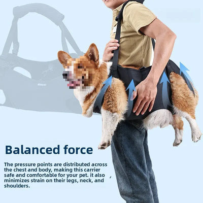 Hind Leg Support Harness (Injury Assist) Teamdrop