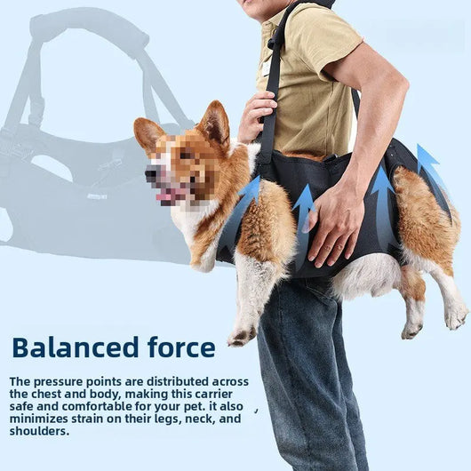 Hind Leg Support Harness (Injury Assist) Teamdrop