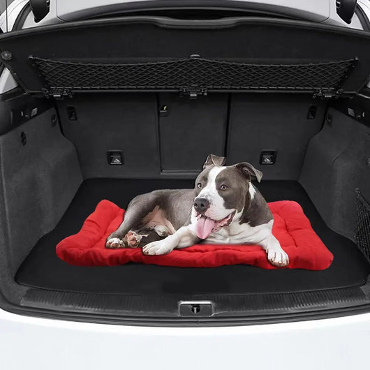 Portable Waterproof Foldable Dog Bed Teamdrop