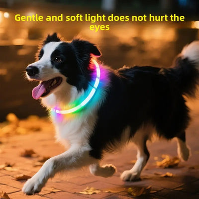 LED Glowing Dog Collar Teamdrop