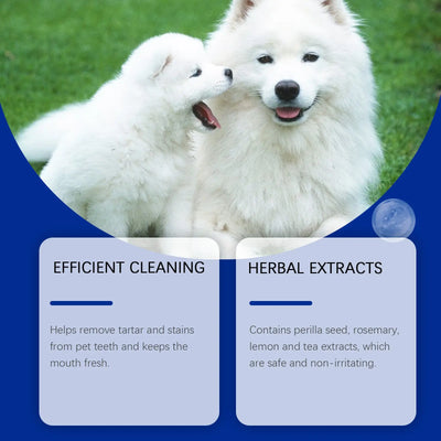 Dog Dental Tooth Powder Teamdrop