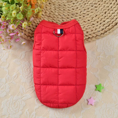 Small Dog Cotton Winter Coat Teamdrop
