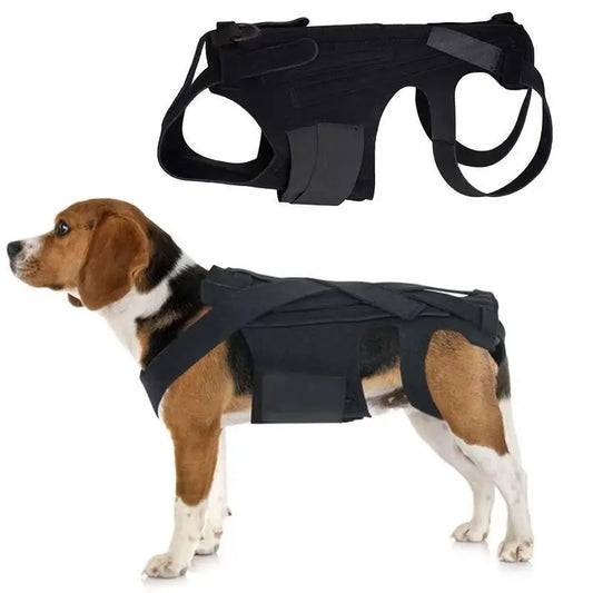 Dog Back Support Vest Teamdrop