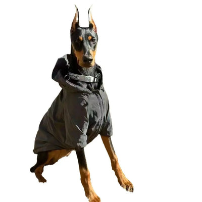 Large Dog Trendy Coat Teamdrop