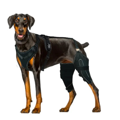 Adjustable Hind Leg Support Brace for Dogs Teamdrop